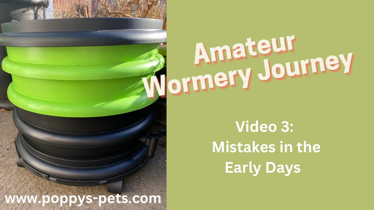 'Video thumbnail for Video 3: Composting Wormery Mistakes - Learn From My Errors  With the Ferme Du Moutta WormBox'