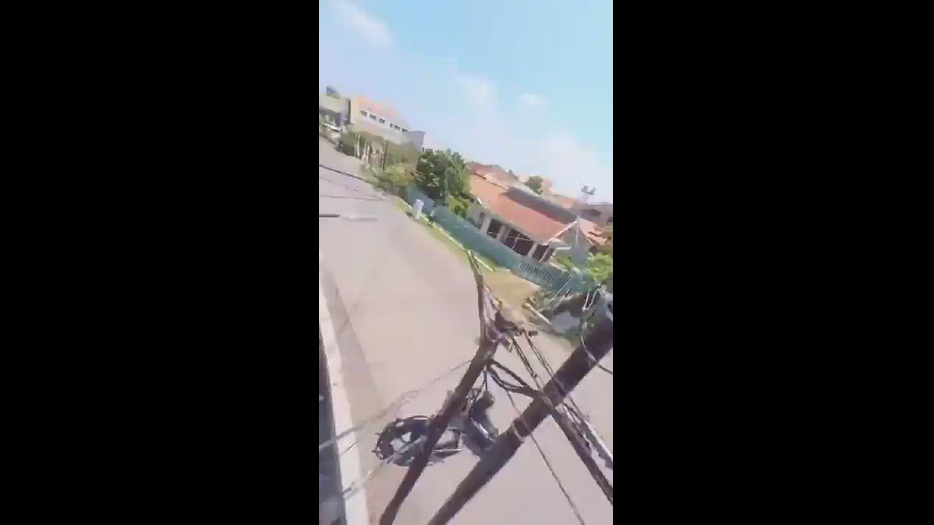 Video thumbnail for Parrot Flies Away with Mobile Phone