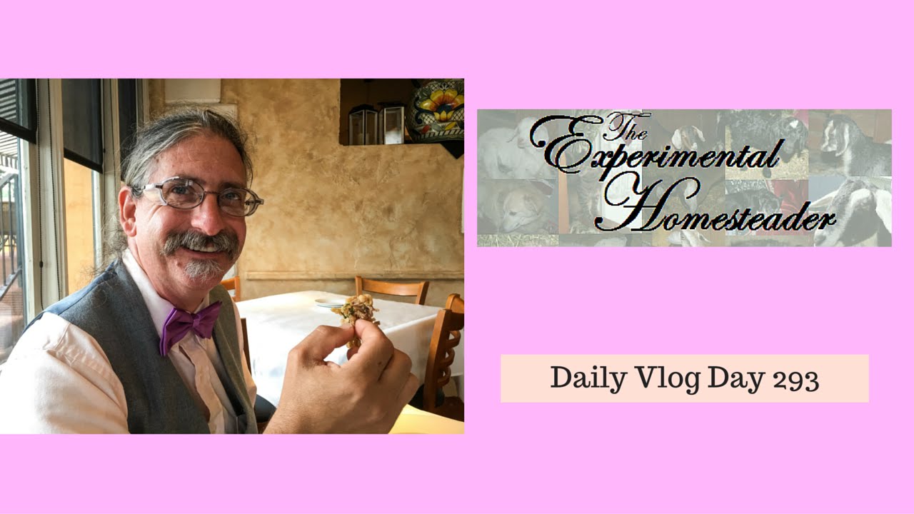 Video thumbnail for Daily Vlog Day 293 Experimental Homesteader - Bravo! Cucina Italiana Review