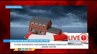 'Video thumbnail for Spanish Version - Flood insurance uncommon among Kentucky homeowners under water'