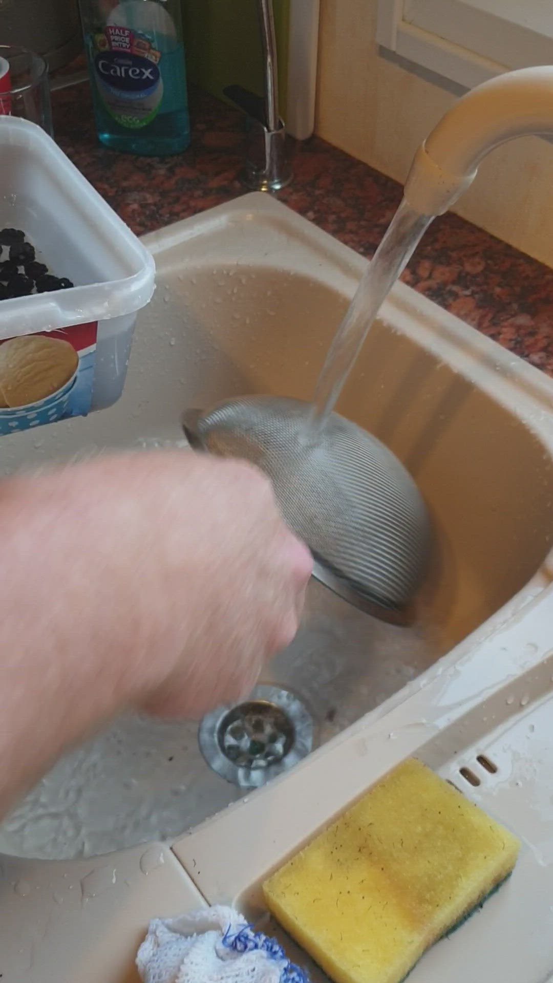 Video thumbnail for How to wash blackberries