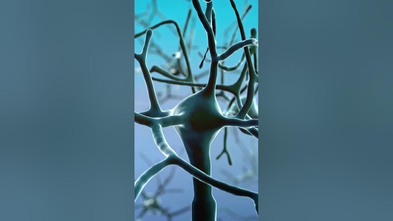 'Video thumbnail for Glutamate: The Neurotransmitter That Can Cause Stroke #shorts'