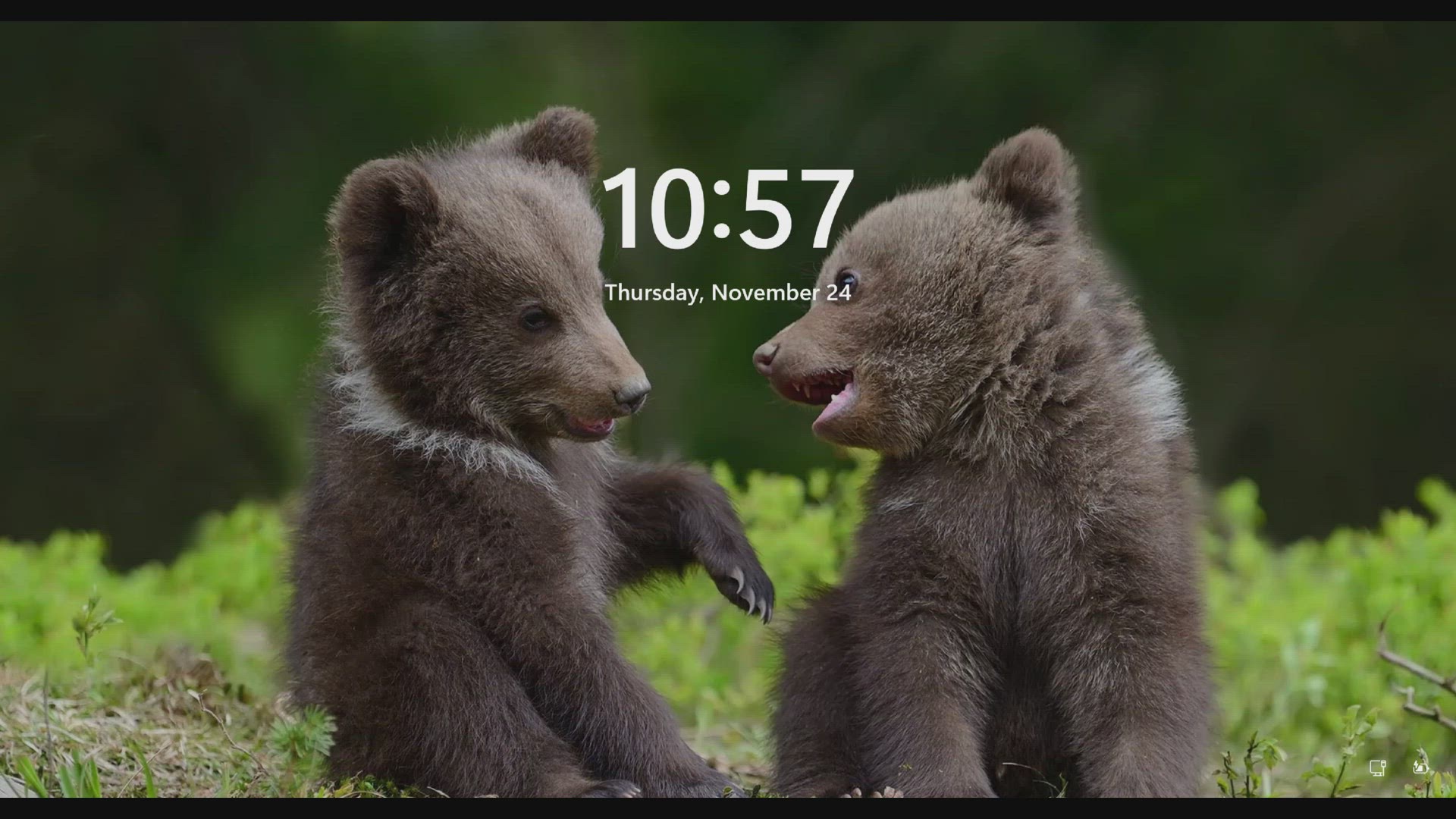 'Video thumbnail for How to Disable Fun Facts, Tips, and Tricks on the Lock Screen in Windows 11?'