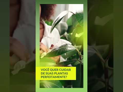 Video thumbnail for Aprenda Tudo Sobre Jardinagem Gratuitamente #Shorts