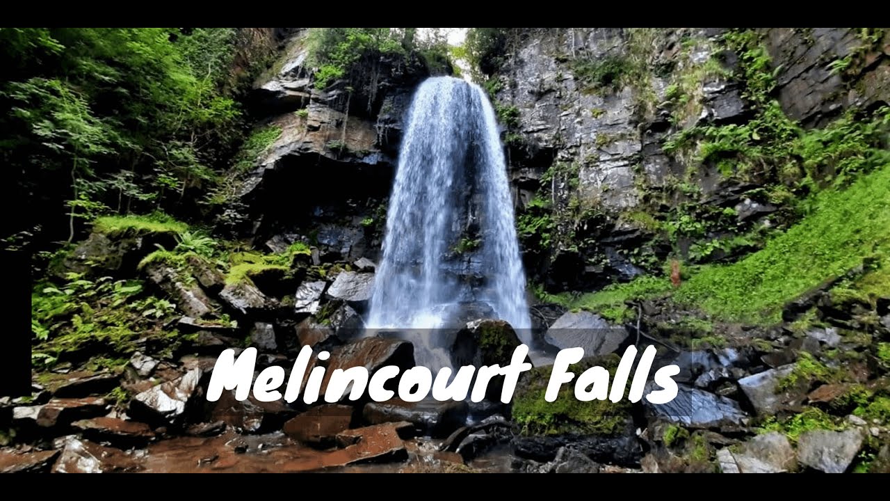 Video thumbnail for Short Walk to the Melincourt Falls to Enjoy This 24 metre Cascade