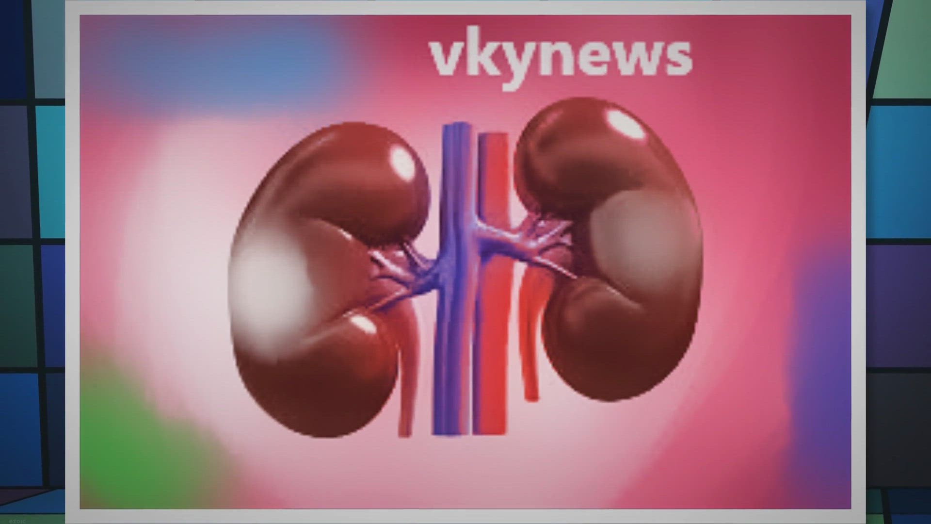 Video thumbnail for How To Keeps The Human Kidney Healthy