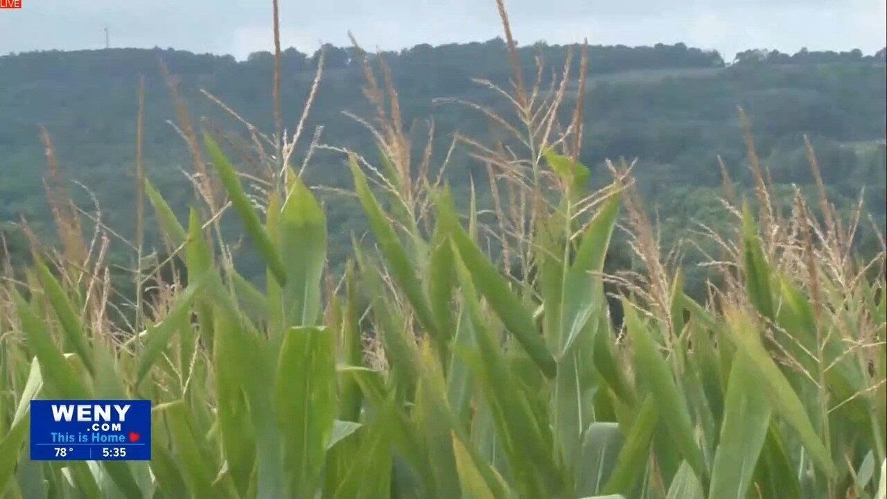 Video thumbnail for State Of The State: Agricultural