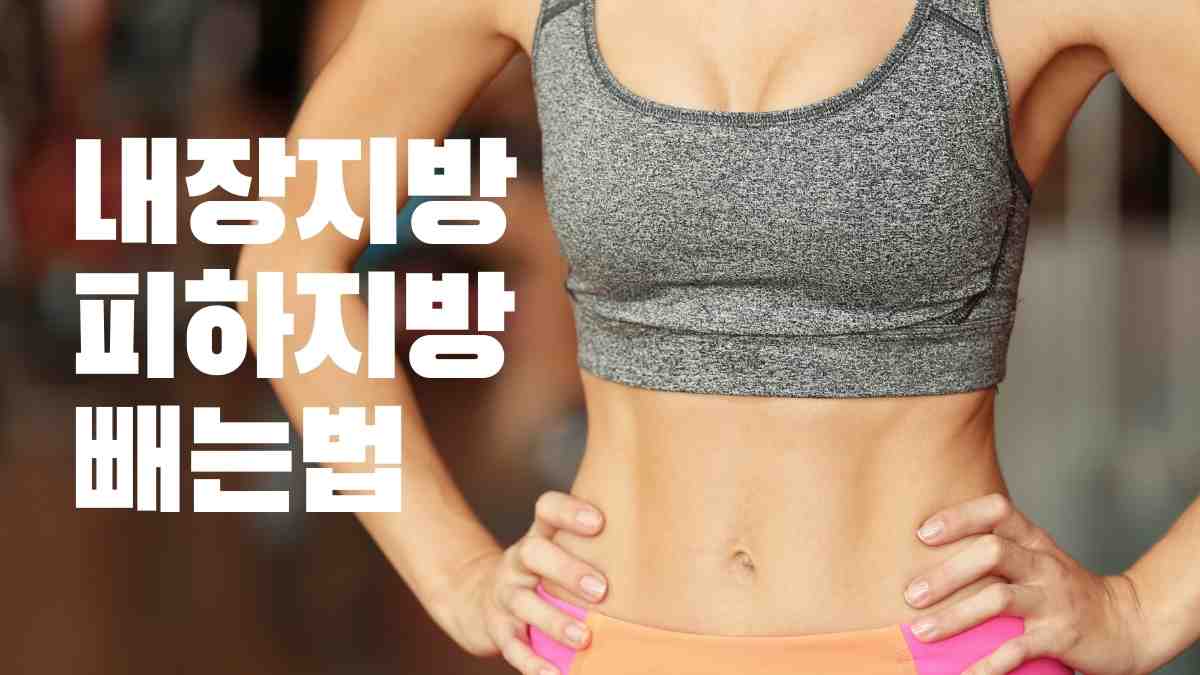 Video thumbnail for 내장지방 피하지방 빼는법 20가지