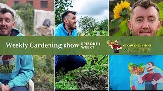 Video thumbnail for 🎥 ✅ “Gardening with Ben Show | Episode 1 – Weekly Garden & Allotment Highlights 🌿📺”