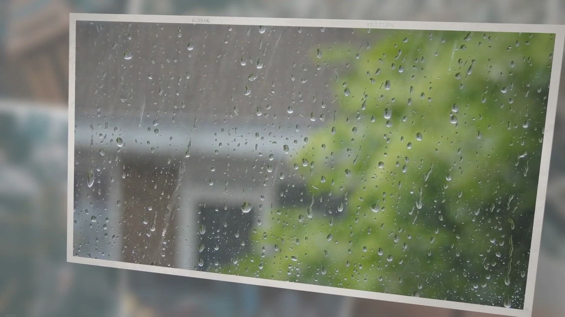 Video thumbnail for What is the Rainiest City in the US? (It’s not Seattle)