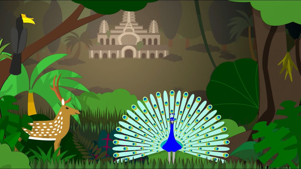 Video thumbnail for EL BUHO BOO - Animales de la selva de la India.