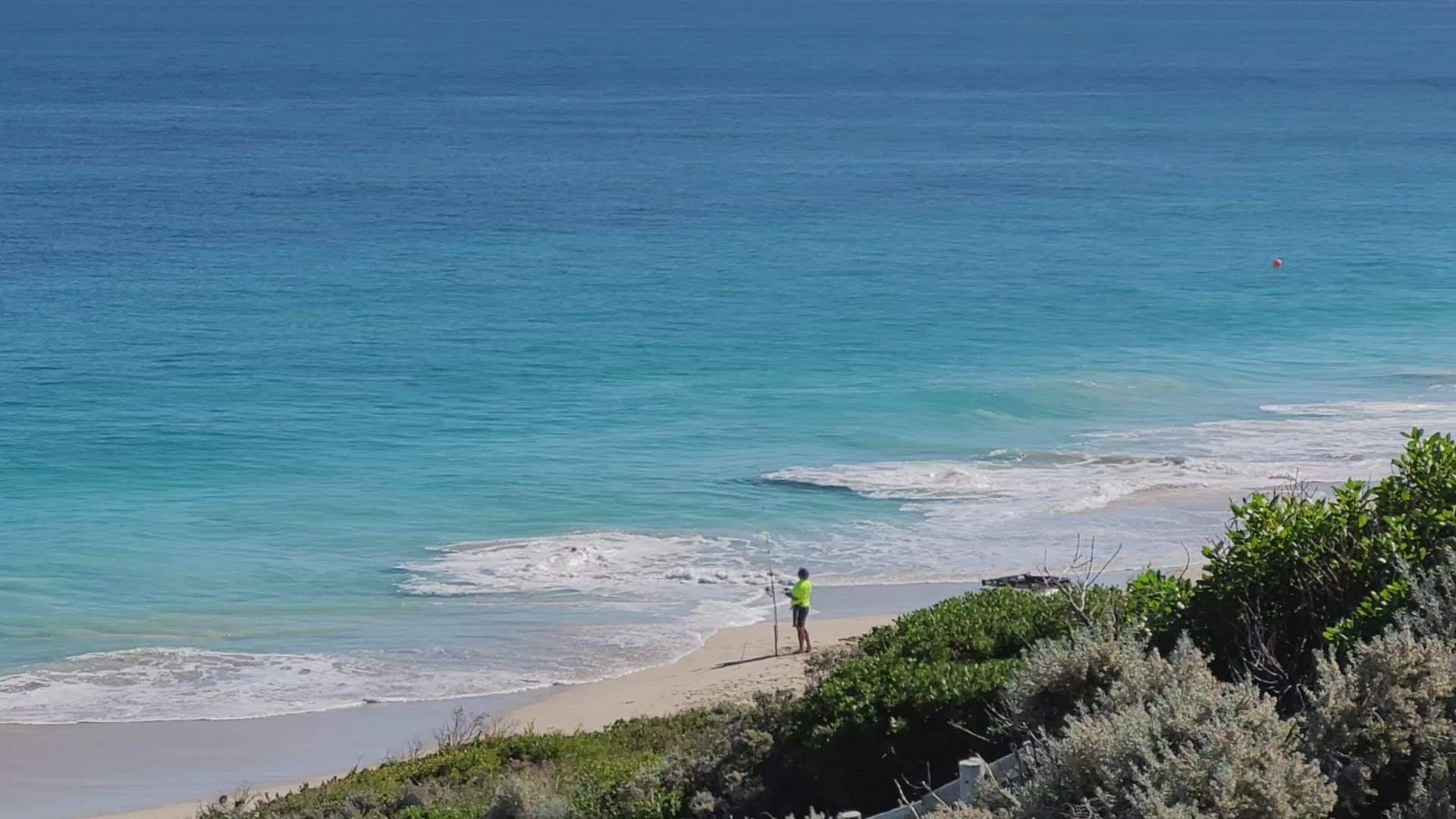 Video thumbnail for Seabird video 2