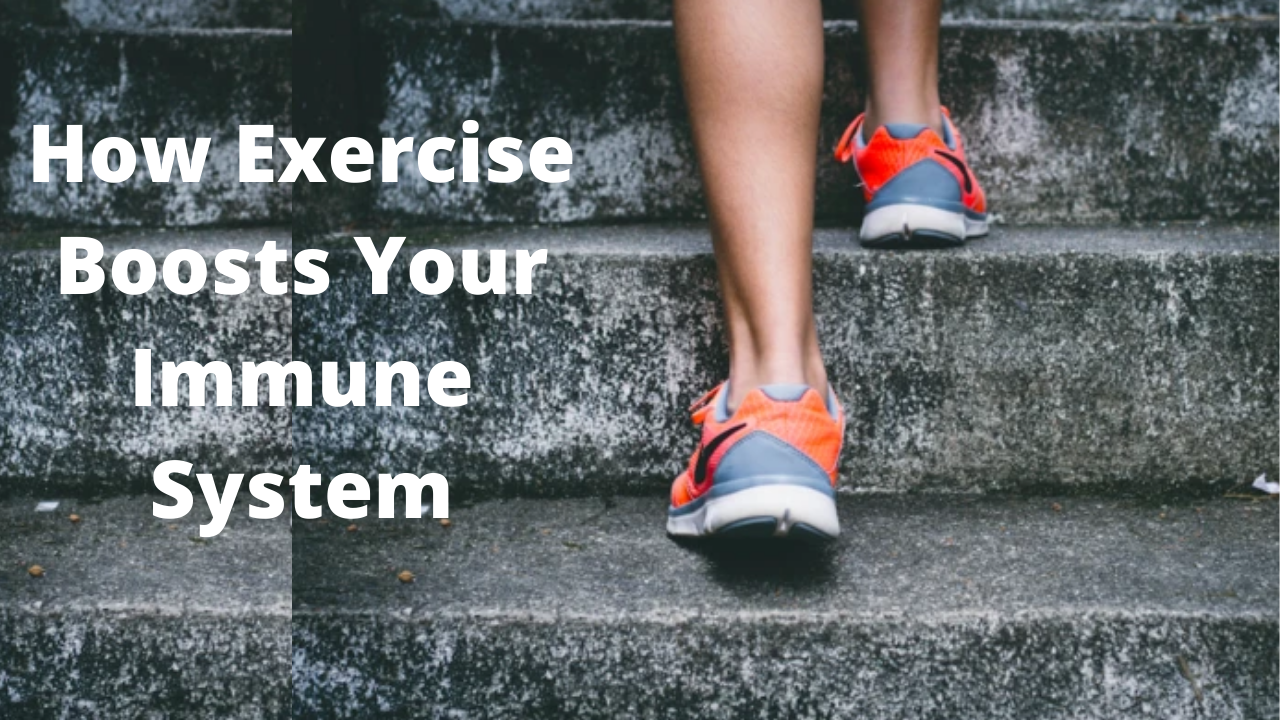 'Video thumbnail for How Exercise Boosts Your Immune System'
