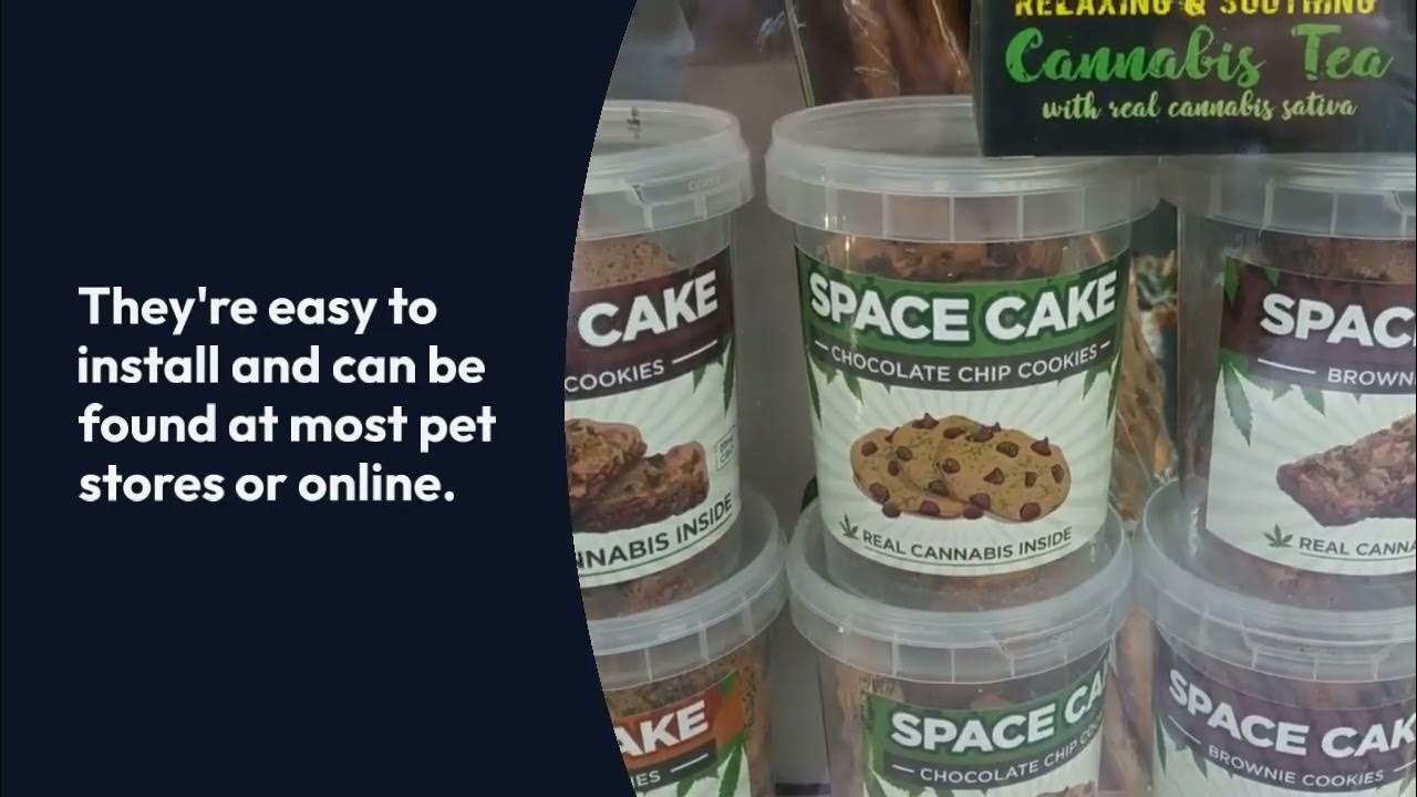 Video thumbnail for 5 Simple Ways to Protect Your Door from Dog Scratches