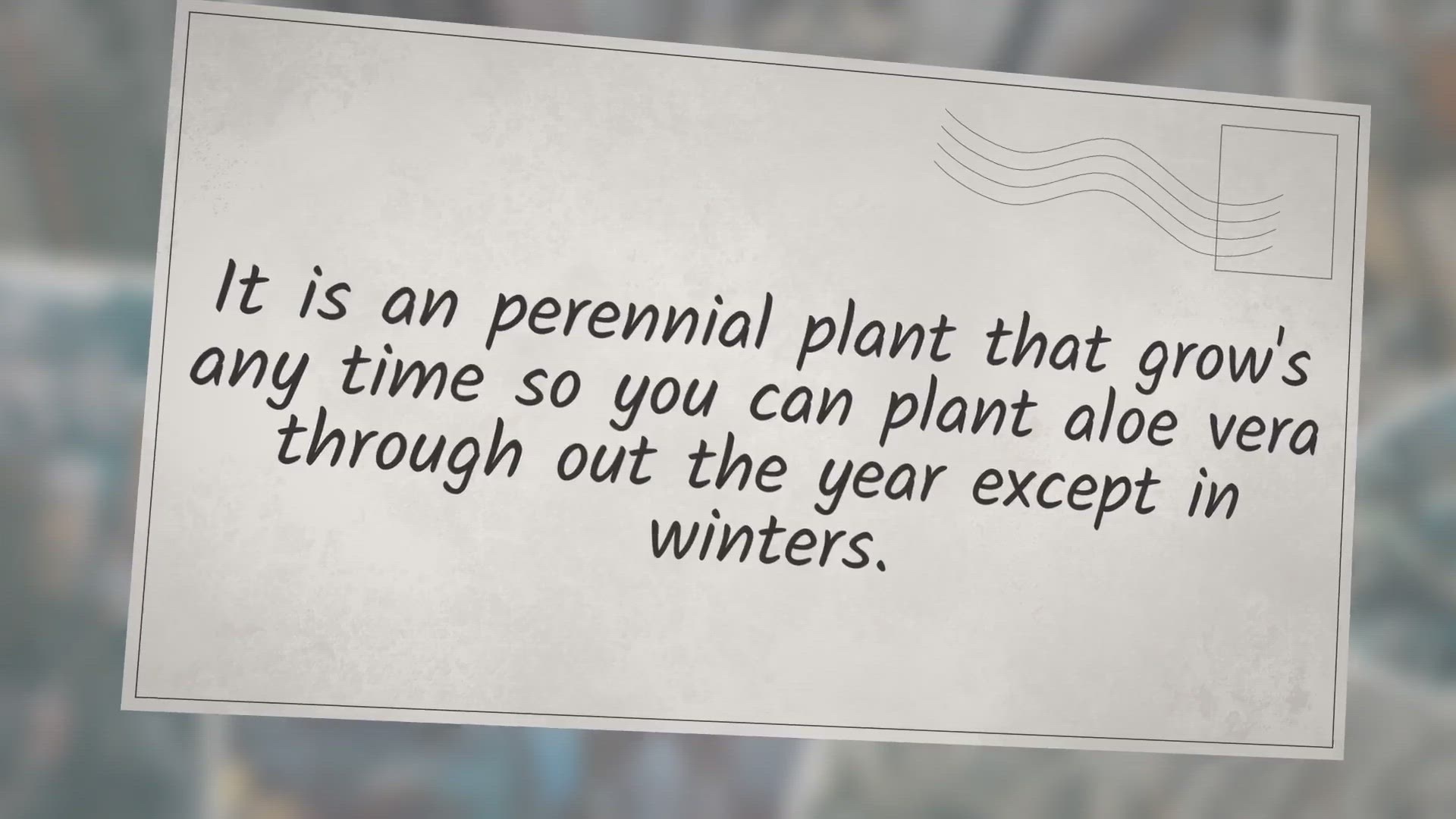 Video thumbnail for Aloe Vera Farming Profit Per Acre | aloe vera cultivation project report