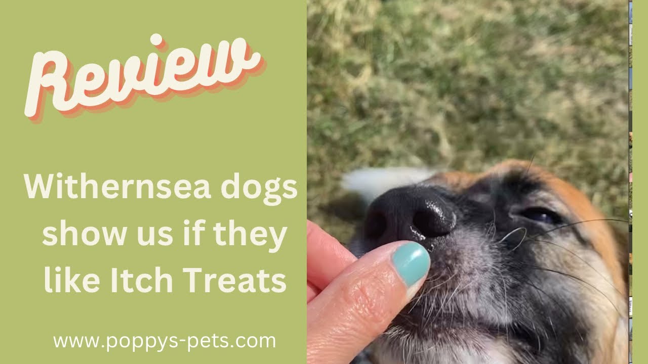 'Video thumbnail for Tasting the Treats: Dogs Review ItchPet Tibits'