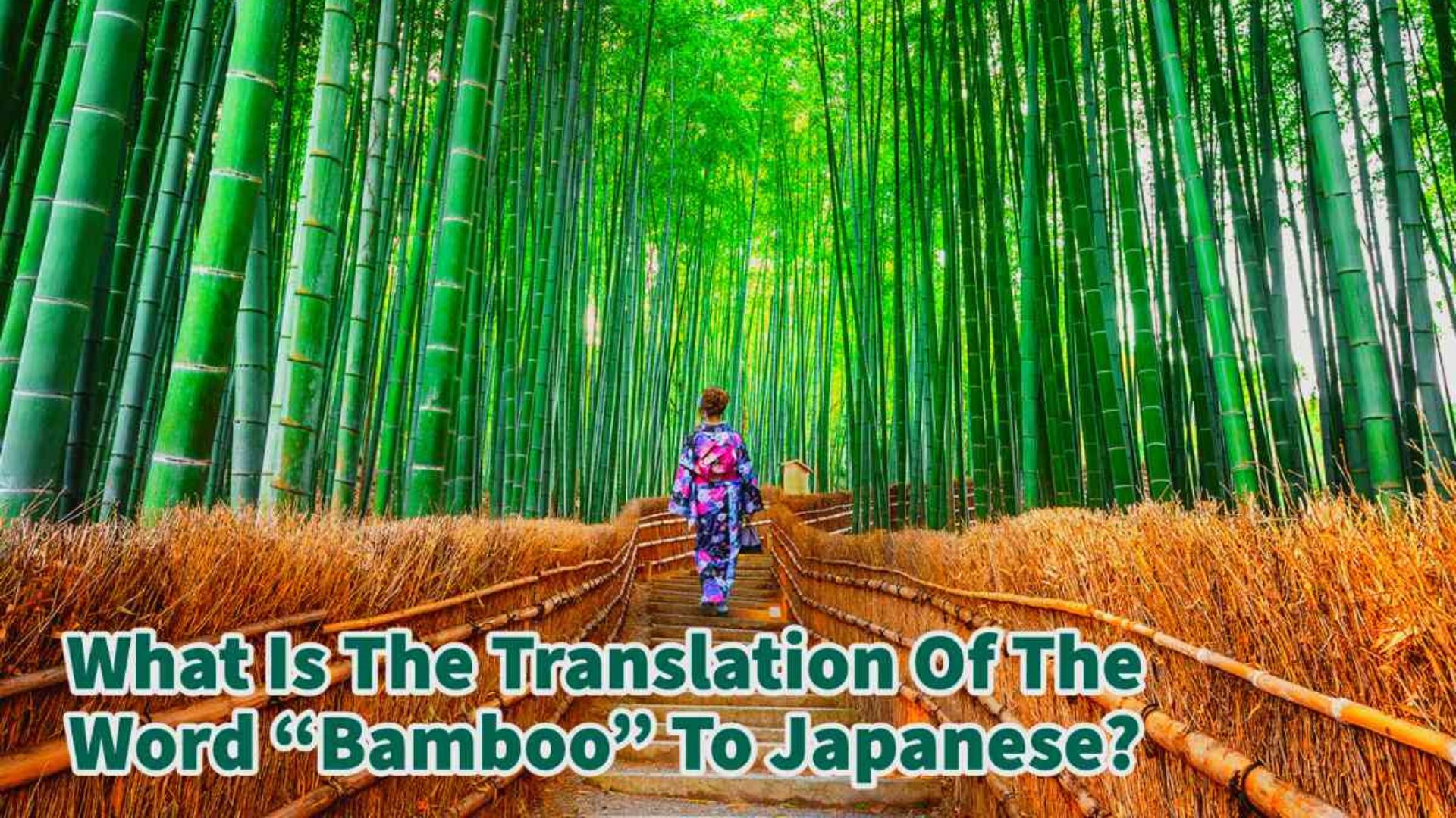 'Video thumbnail for What Is The Translation Of The Word “Bamboo” In Japanese?'
