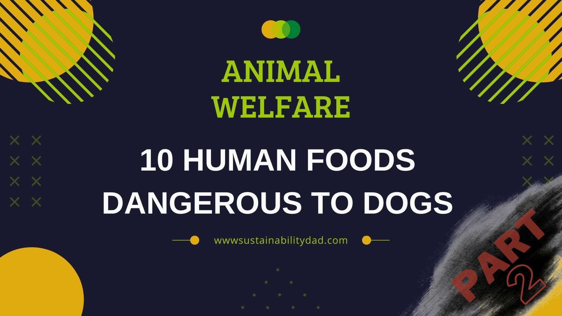 Video thumbnail for 10 human foods dangerous to dogs part 2