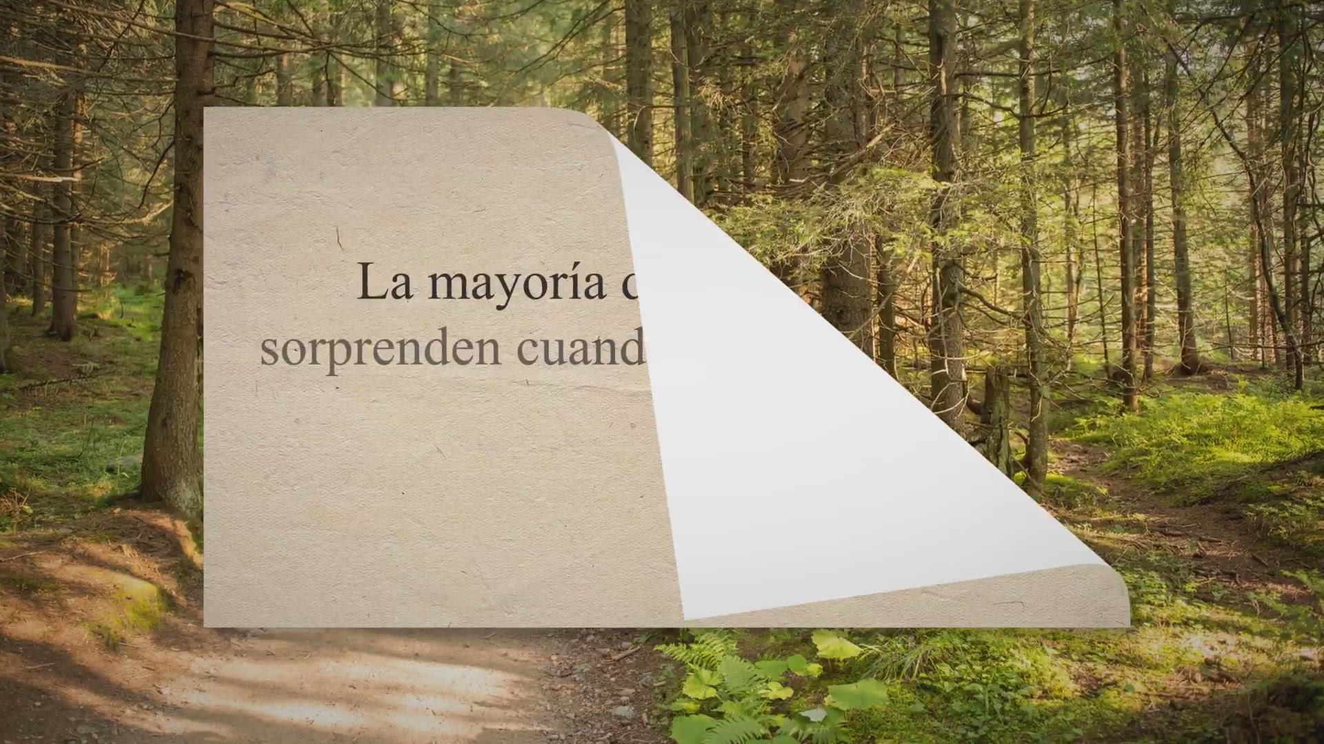 Video thumbnail for Epilepsia en perros Beagles: Aprende a identificarla 🧠