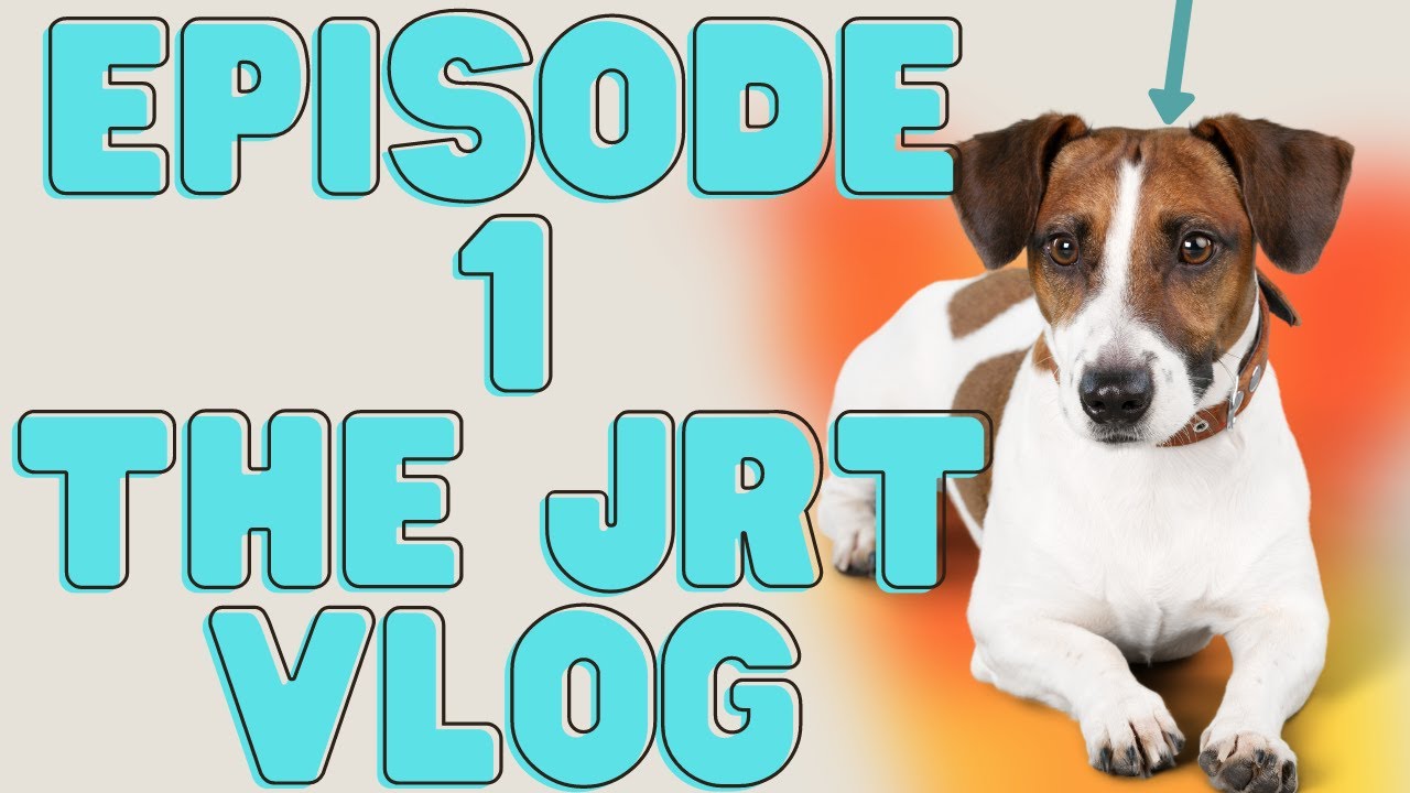Video thumbnail for The Jack Russell Terrier Vlog Episode 1 (🐶Trimming Your Jack Russell's Nails- The Right Way!)