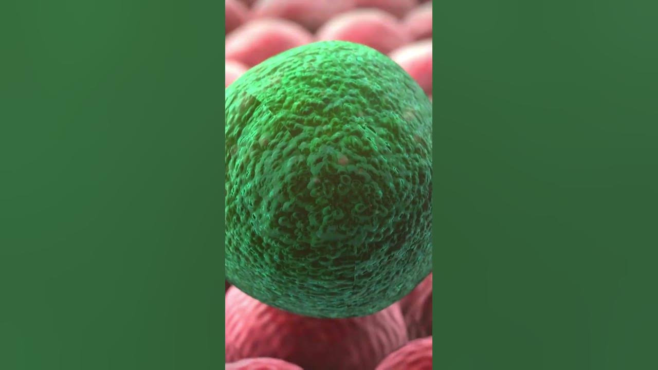 'Video thumbnail for 3 Health Benefits of Zinc you Didn't Know About #shorts'