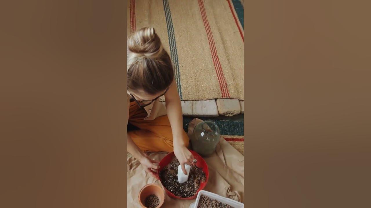 Video thumbnail for Using Diatomaceous Earth for Indoor Plants: 4 Different Useful Uses