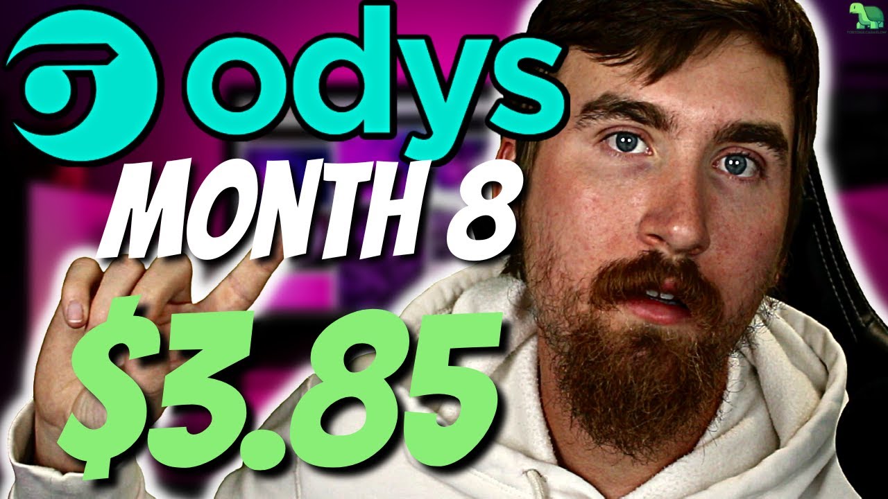 Video thumbnail for Ezoic Support INCREASED MY EPMV! Odys Month 8