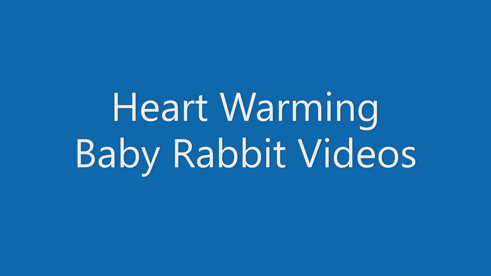 Video thumbnail for Heart Warming Rabbit Videos
