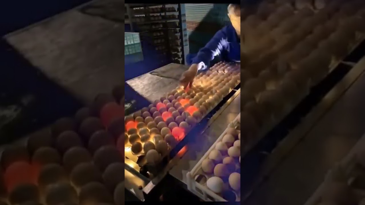 Video thumbnail for #shorts - Like & Subscribe 🔔👇