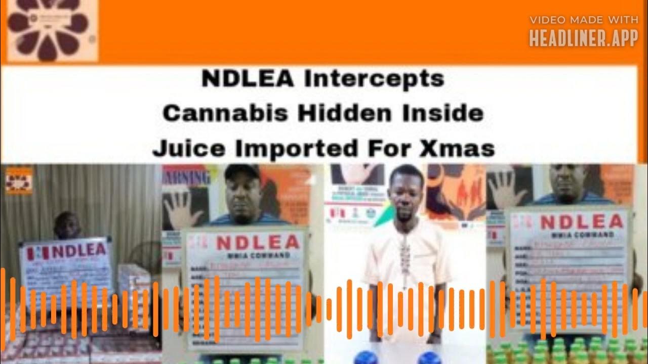 Video thumbnail for NDLEA Intercepts Cannabis Hidden Inside Juice Imported For Xmas ~ OsazuwaAkonedo