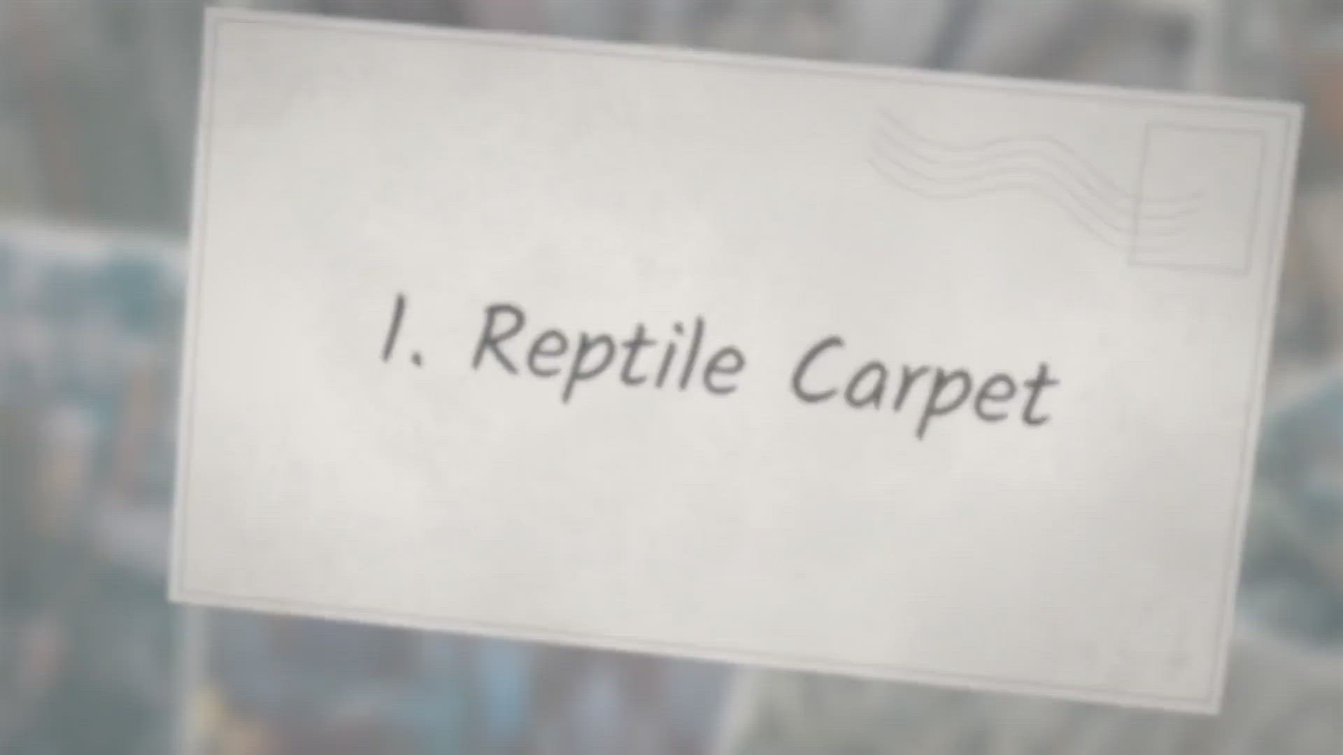 Video thumbnail for Top 7 Best Bearded Dragon Substrate Choices