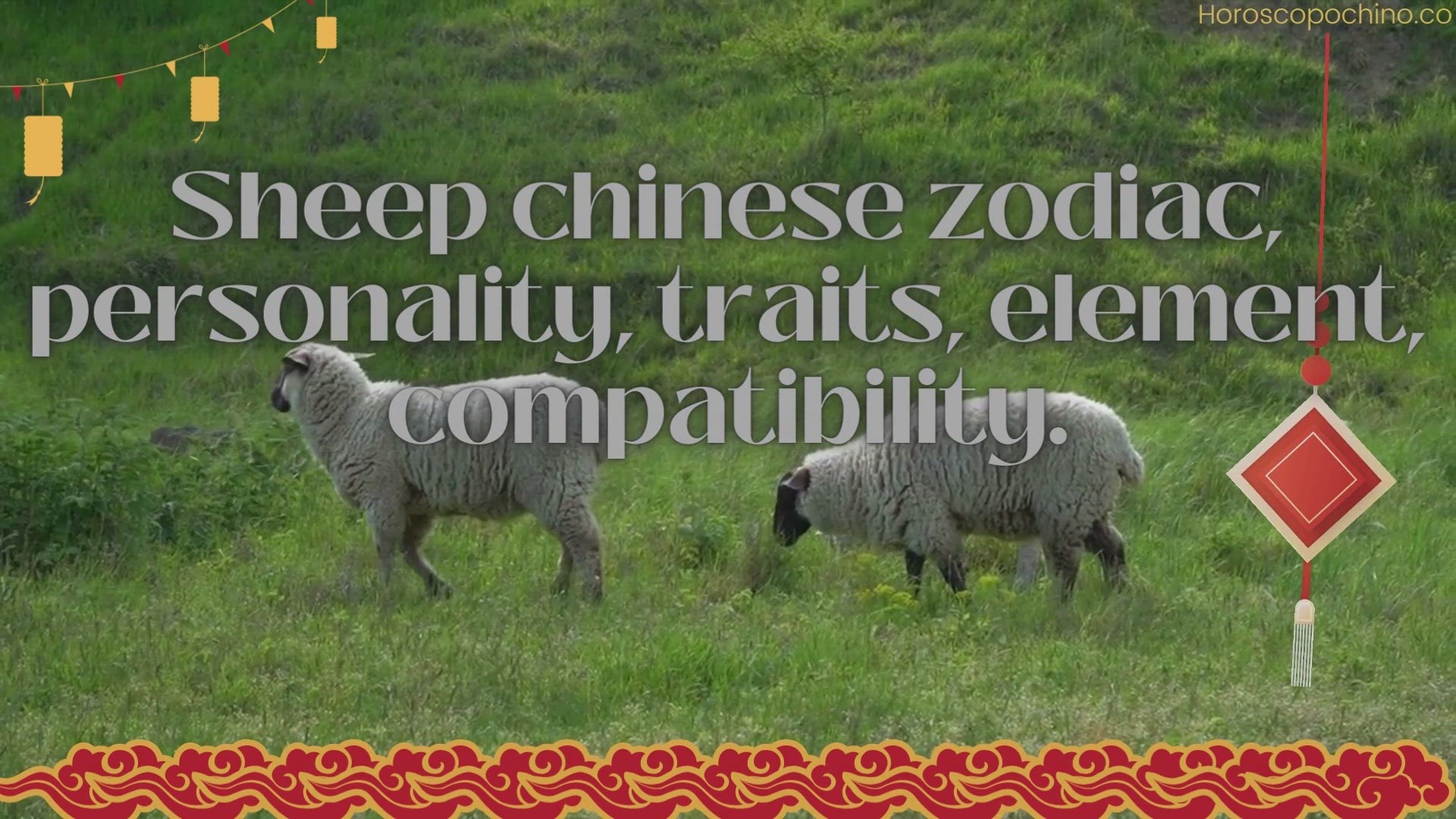 'Video thumbnail for Sheep chinese zodiac, personality, traits, element, compatibility.'