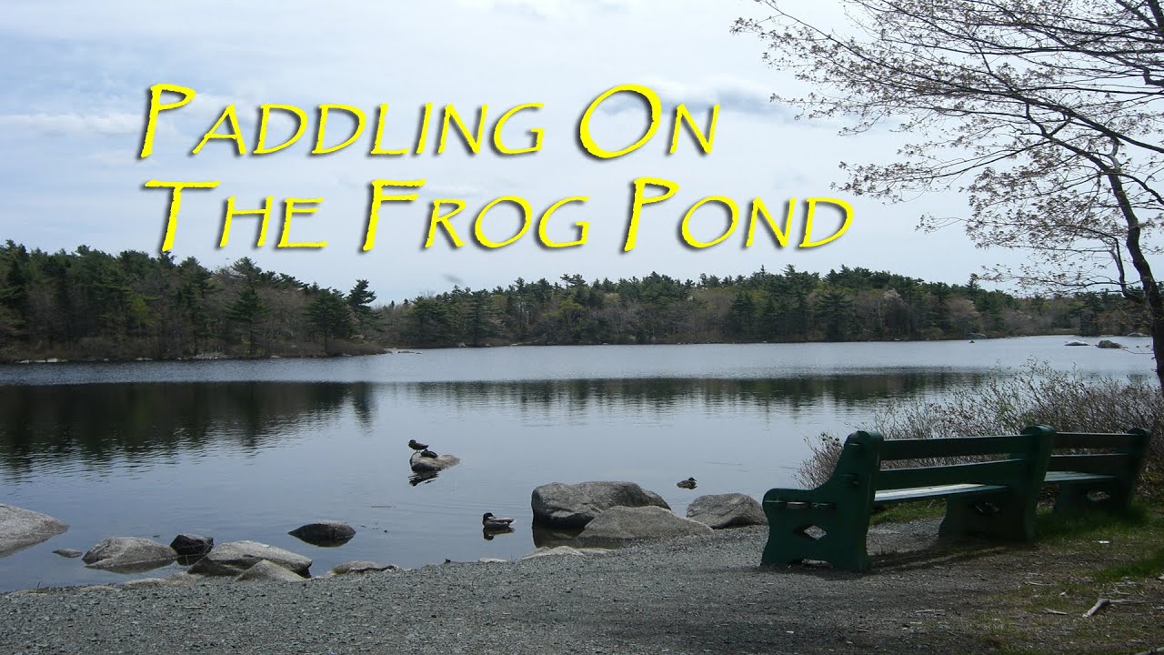 'Video thumbnail for Frog Pond Paddle - Fleming Park. Halifax, Nova Scotia.'