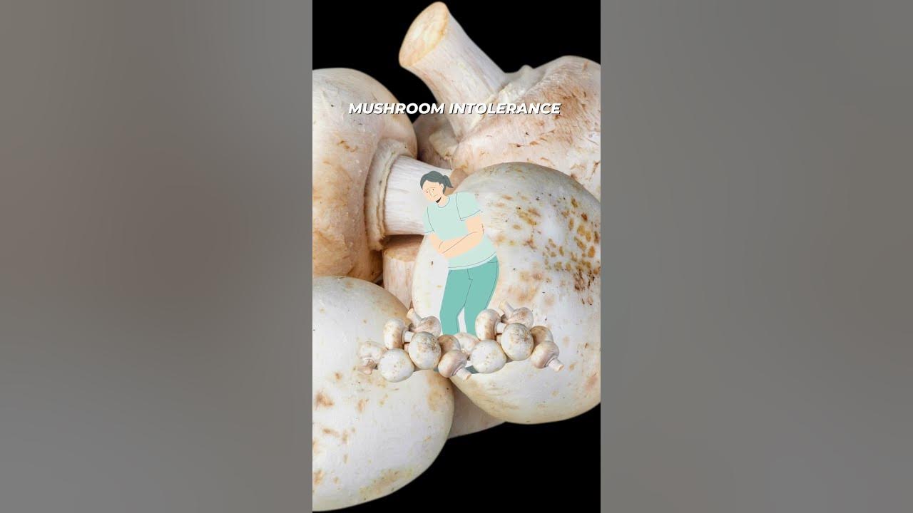 Video thumbnail for The Important Difference Between Mushroom Intolerance and Mushroom Allergy #mushroom