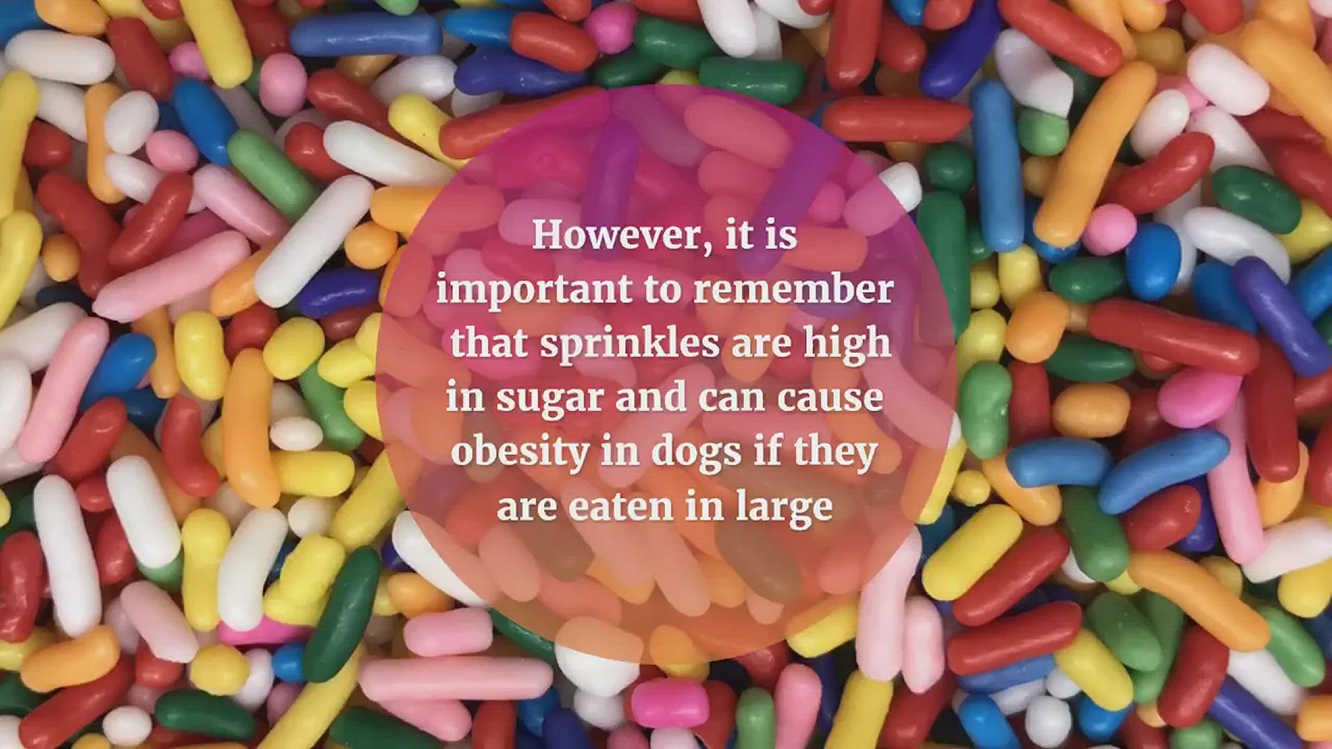 Video thumbnail for Can Dogs Eat Sprinkles? Beware of These Harmful Ingredients