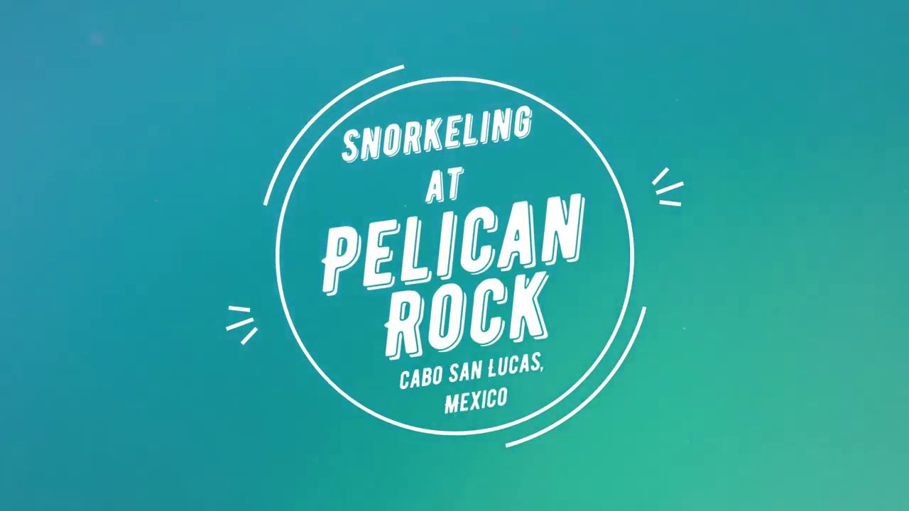 'Video thumbnail for Snorkeling at Pelican Rock'