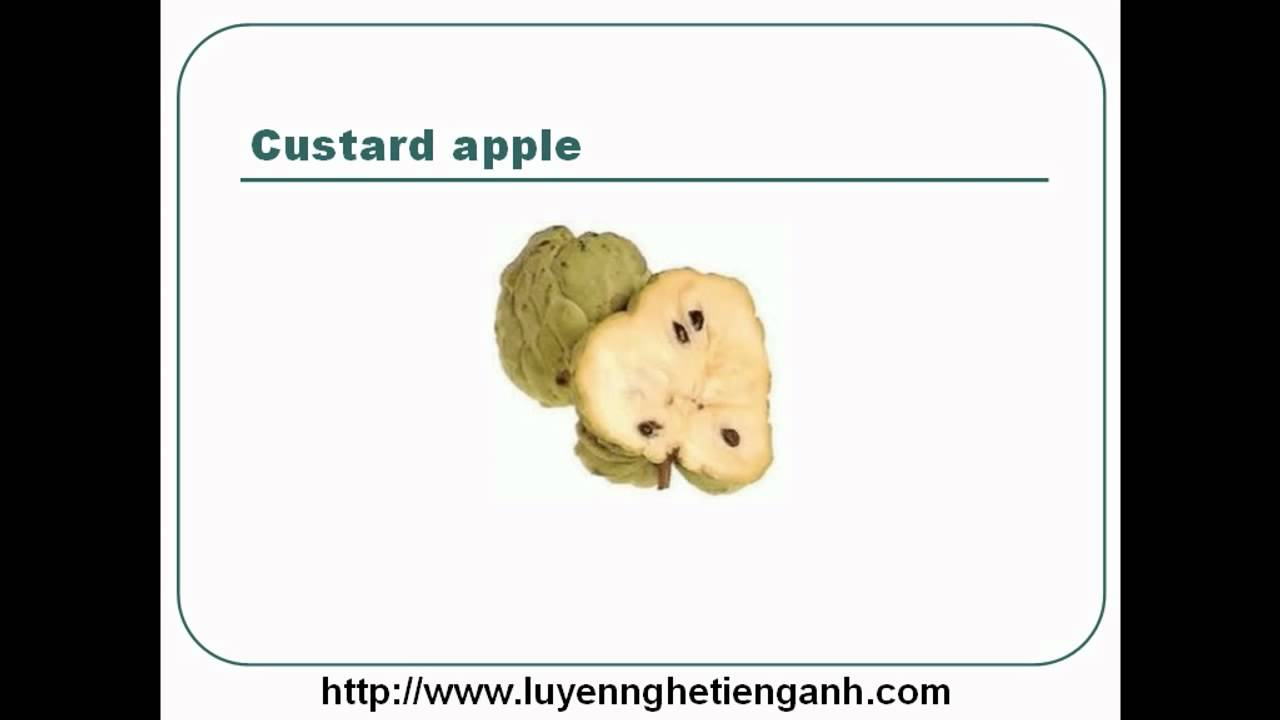'Video thumbnail for Learn English Vocabulary Through Pictures - Topic - Fruits Lesson 03'