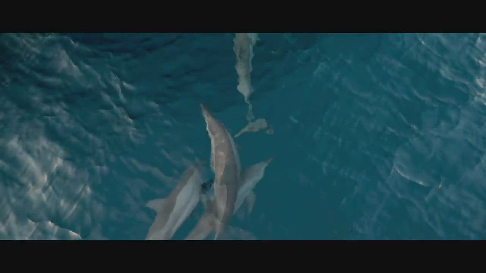 Video thumbnail for Romantic Bali Honeymoon Guide