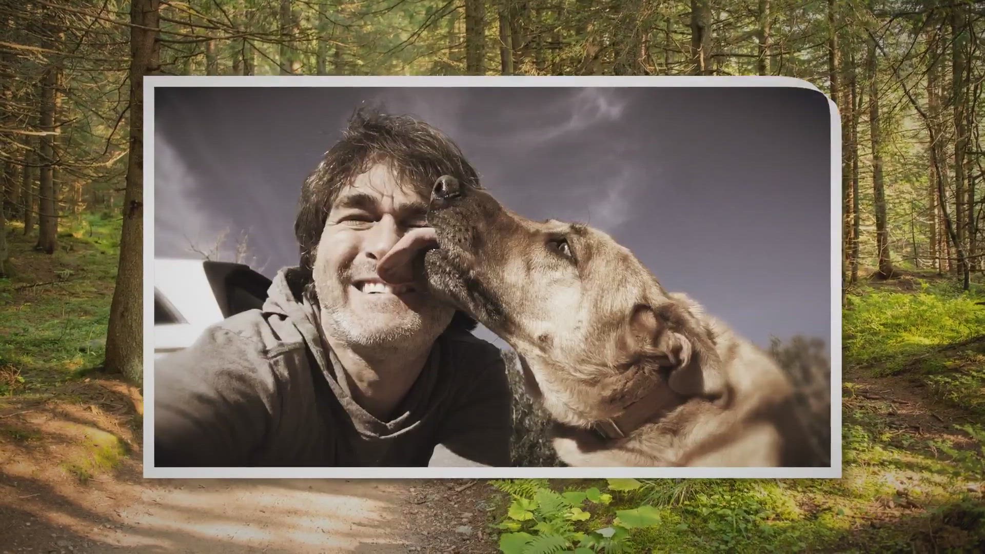 Video thumbnail for 6 Ways To Make Sure Your Dog Is Licking You Because He/She Loves You.