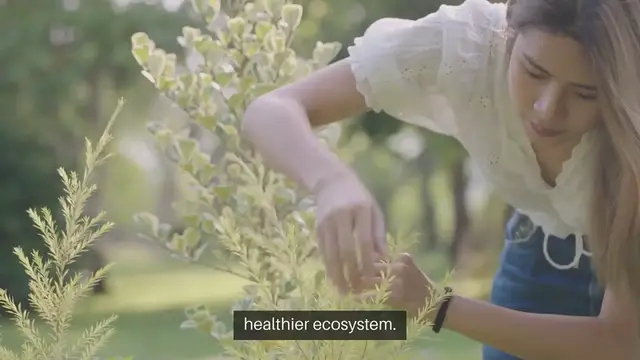 'Video thumbnail for Best Outdoor Plants for Natural Pest Control'