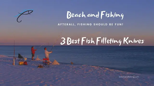 'Video thumbnail for 3 Best Fish Filleting Knives'