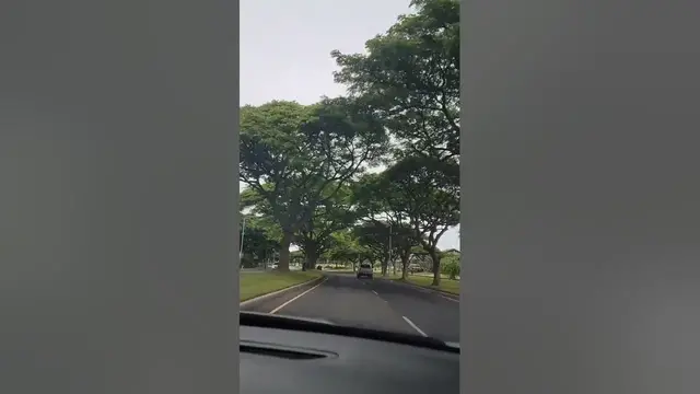 'Video thumbnail for roadtrip hawaii #travel #hawaii'