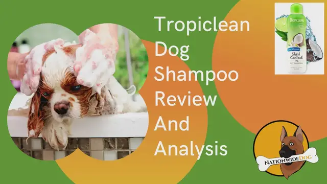 'Video thumbnail for Tropiclean Dog Shampoo Review And Analysis'