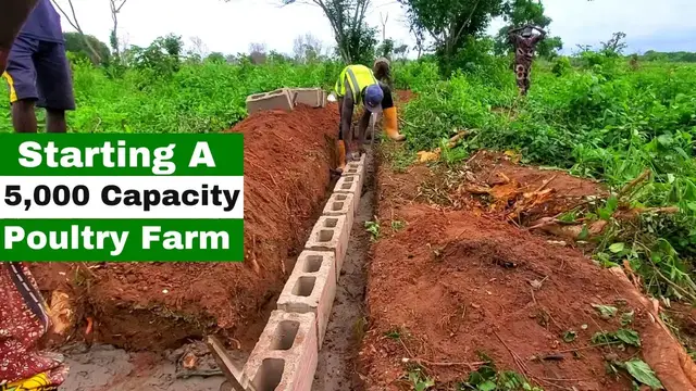 'Video thumbnail for 5,000 Capacity Poultry Farm Construction in Ogun State'