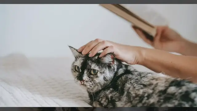 'Video thumbnail for Top Five Writing Exercises to Boost Creativity and Skill'