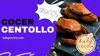 'Video thumbnail for Cómo COCER CENTOLLO o centolla 🦀 | Vivo, muerto y congelado + Tiempos de Cocción'