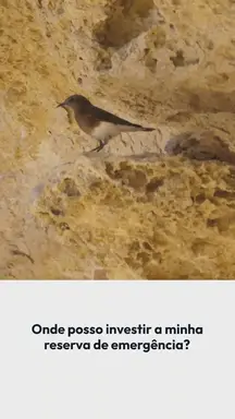 'Video thumbnail for Saiba onde você pode investir a sua reserva de emergência'
