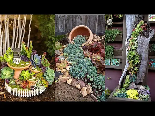 'Video thumbnail for 23 Awesome Succulent Porch Garden Ideas to Boost Curb Appeal'