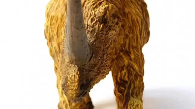'Video thumbnail for Strange Extinct Creatures That Weren't Dinosaurs'