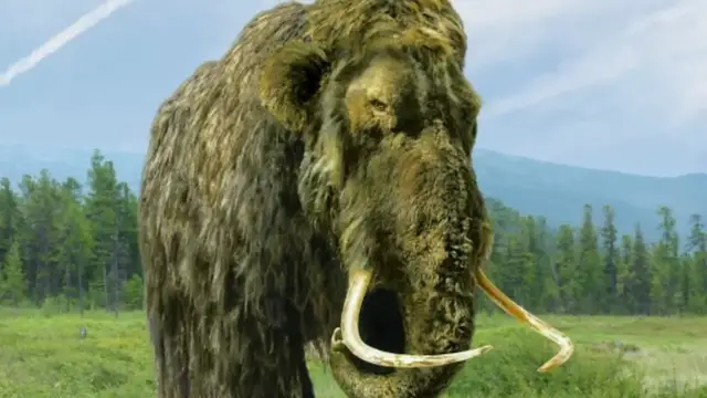 'Video thumbnail for The Real Reason These Prehistoric Elephants Went Extinct'